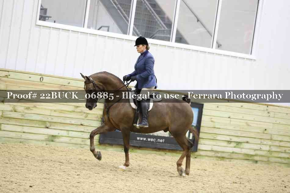 Proof 22BUCK_06885