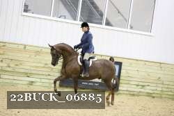 22BUCK_06885 proof