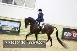 22BUCK_06887 proof