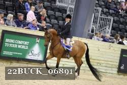 22BUCK_06891 proof