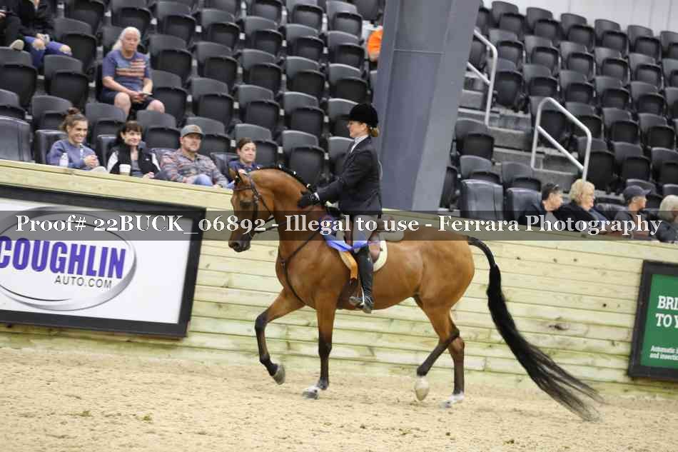Proof 22BUCK_06892