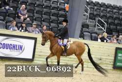22BUCK_06892 proof