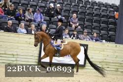 22BUCK_06893 proof