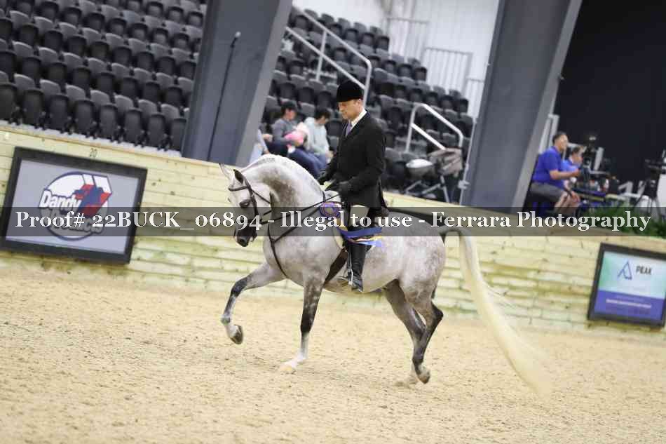 Proof 22BUCK_06894