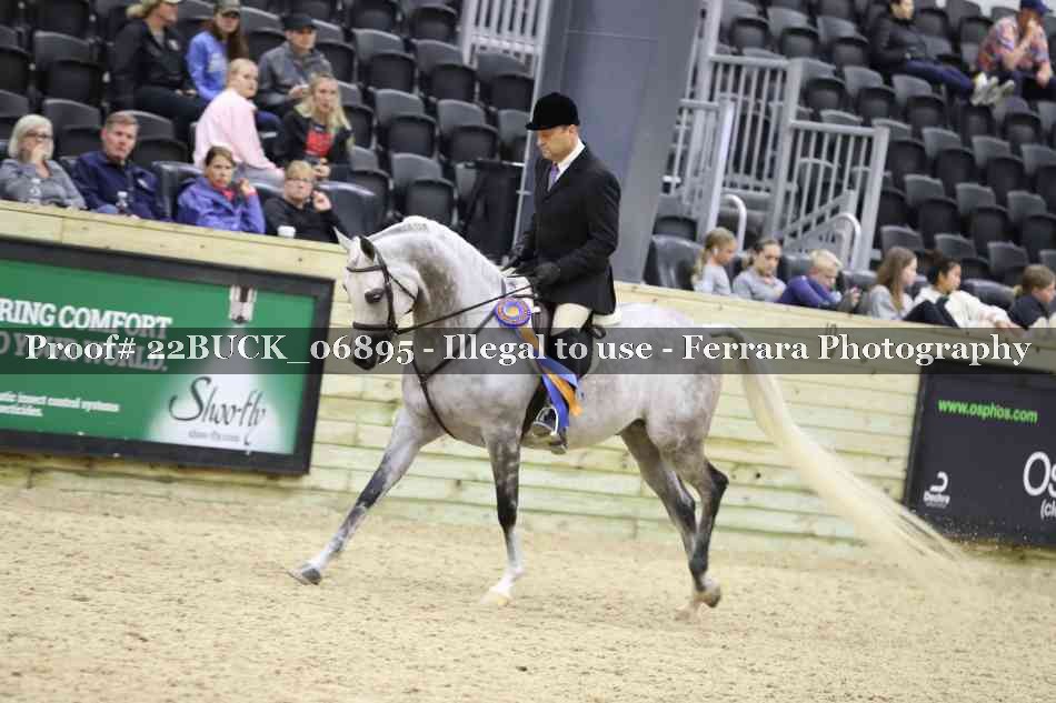 Proof 22BUCK_06895