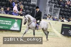22BUCK_06895 proof