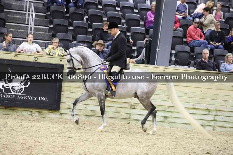 Proof 22BUCK_06896