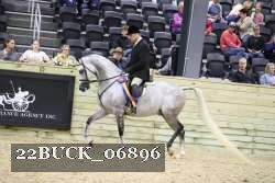 22BUCK_06896 proof