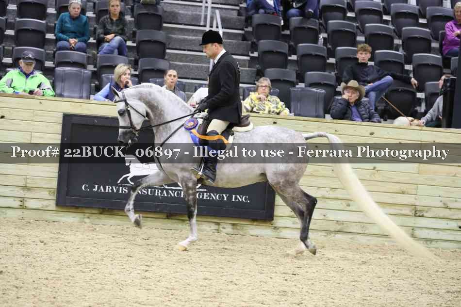 Proof 22BUCK_06897