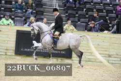 22BUCK_06897 proof