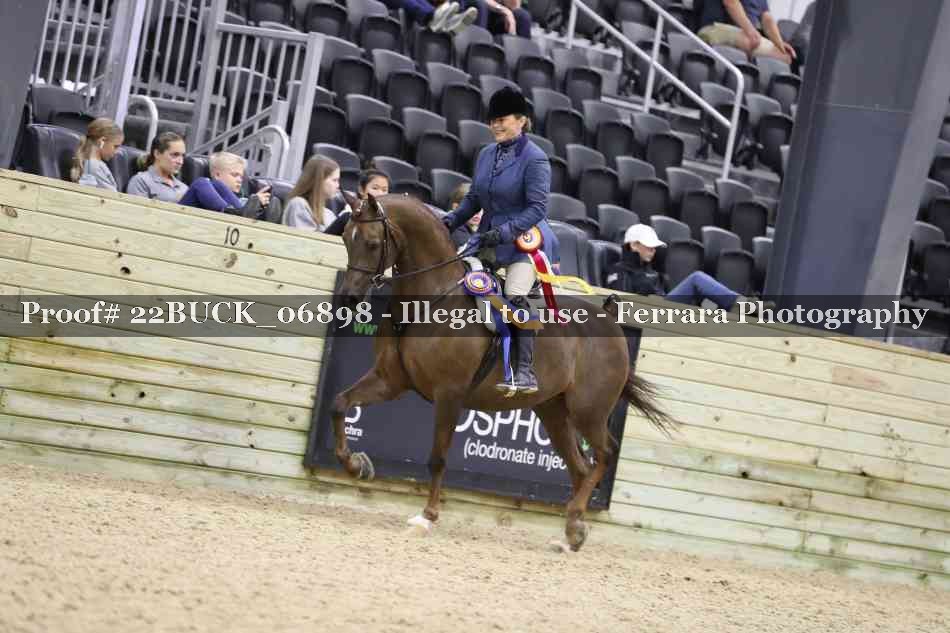 Proof 22BUCK_06898