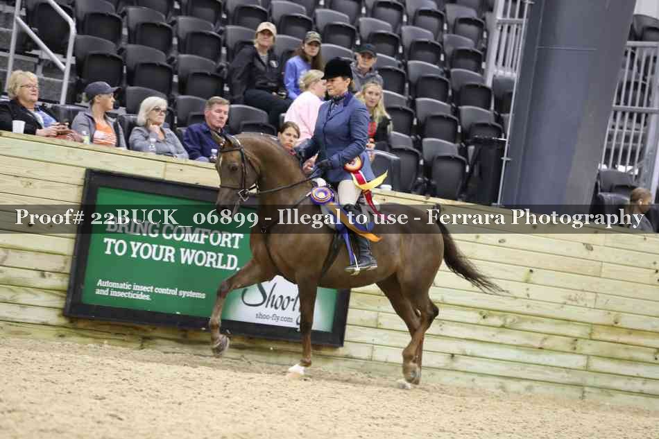 Proof 22BUCK_06899