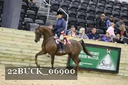 22BUCK_06900 proof