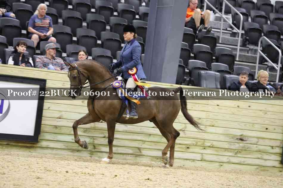 Proof 22BUCK_06901