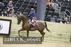 22BUCK_06901 proof