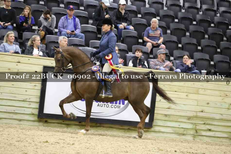 Proof 22BUCK_06902