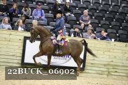 22BUCK_06902 proof