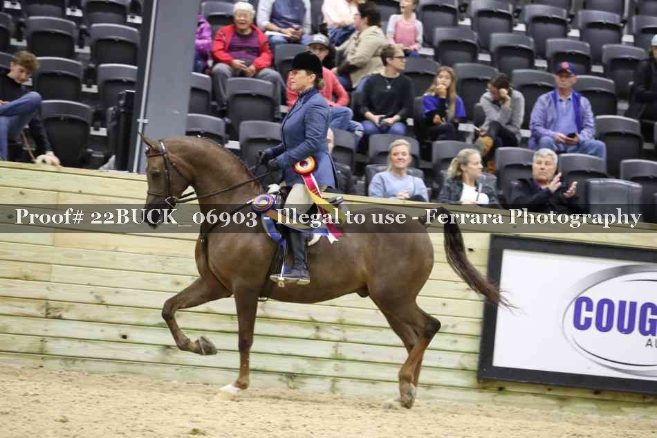 Proof 22BUCK_06903