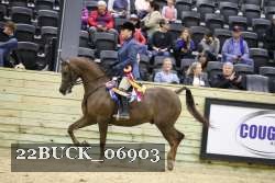 22BUCK_06903 proof