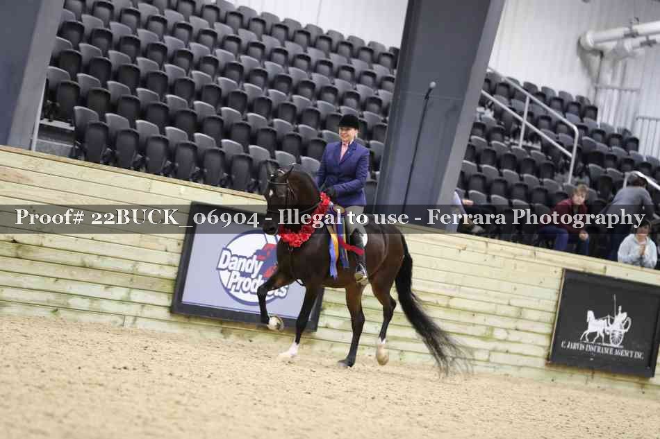 Proof 22BUCK_06904