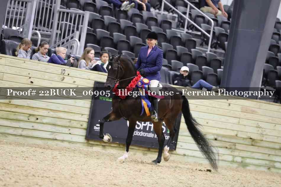 Proof 22BUCK_06905