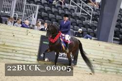 22BUCK_06905 proof