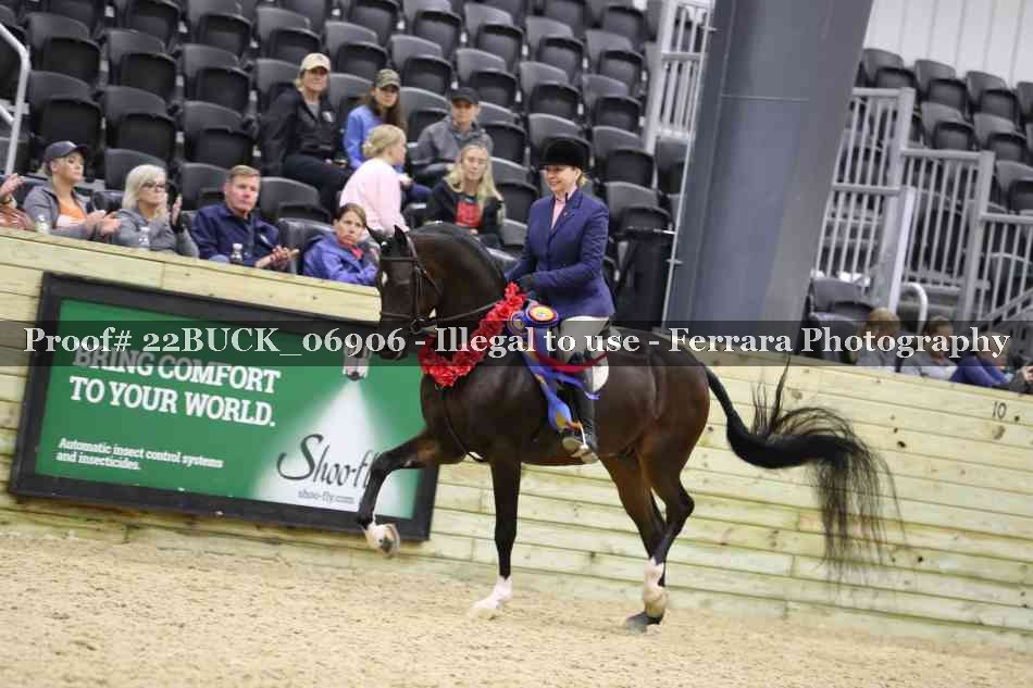 Proof 22BUCK_06906