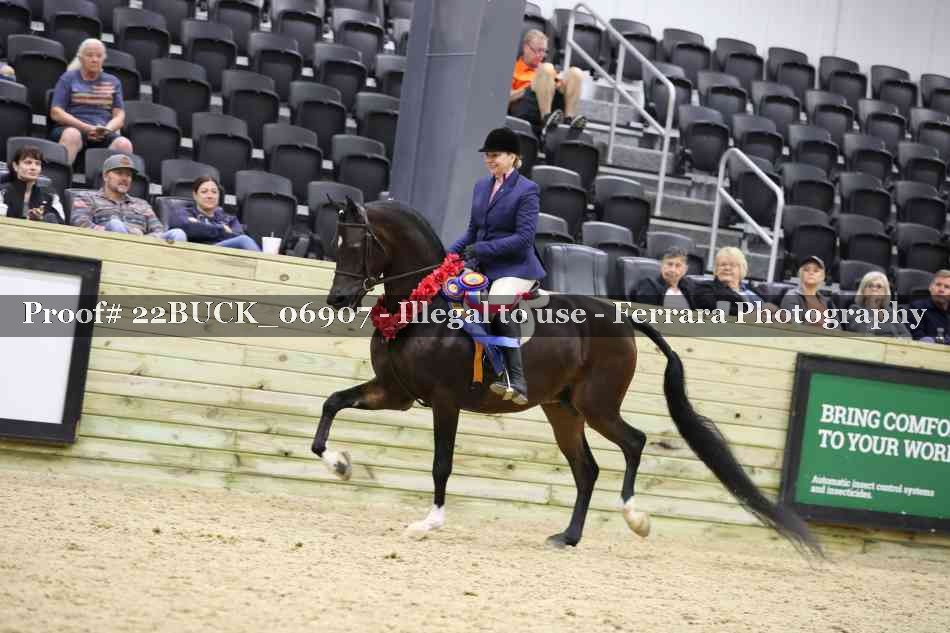 Proof 22BUCK_06907