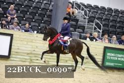 22BUCK_06907 proof