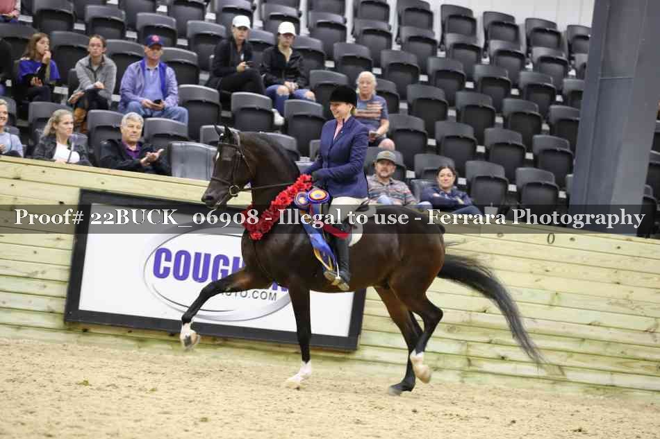 Proof 22BUCK_06908