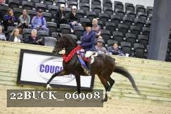 22BUCK_06908 proof