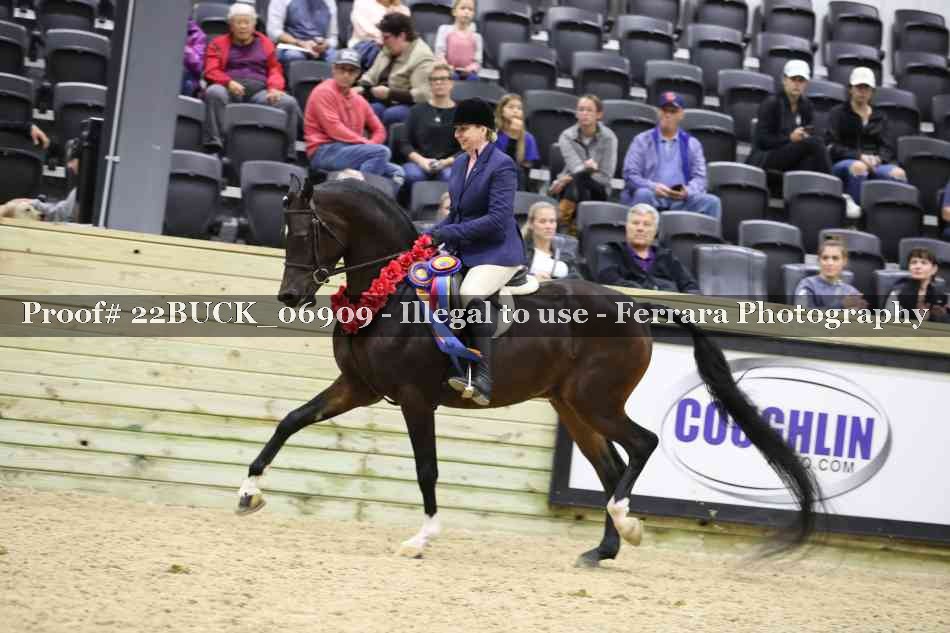 Proof 22BUCK_06909