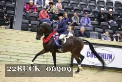 22BUCK_06909 proof