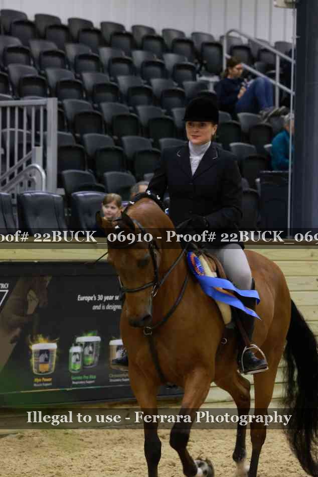 Proof 22BUCK_06910