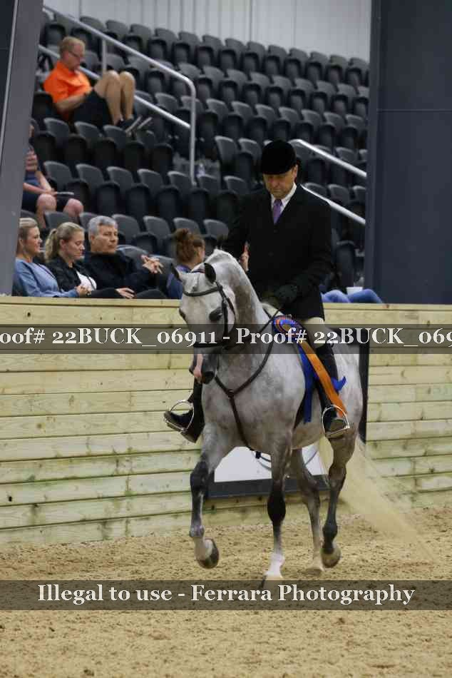 Proof 22BUCK_06911