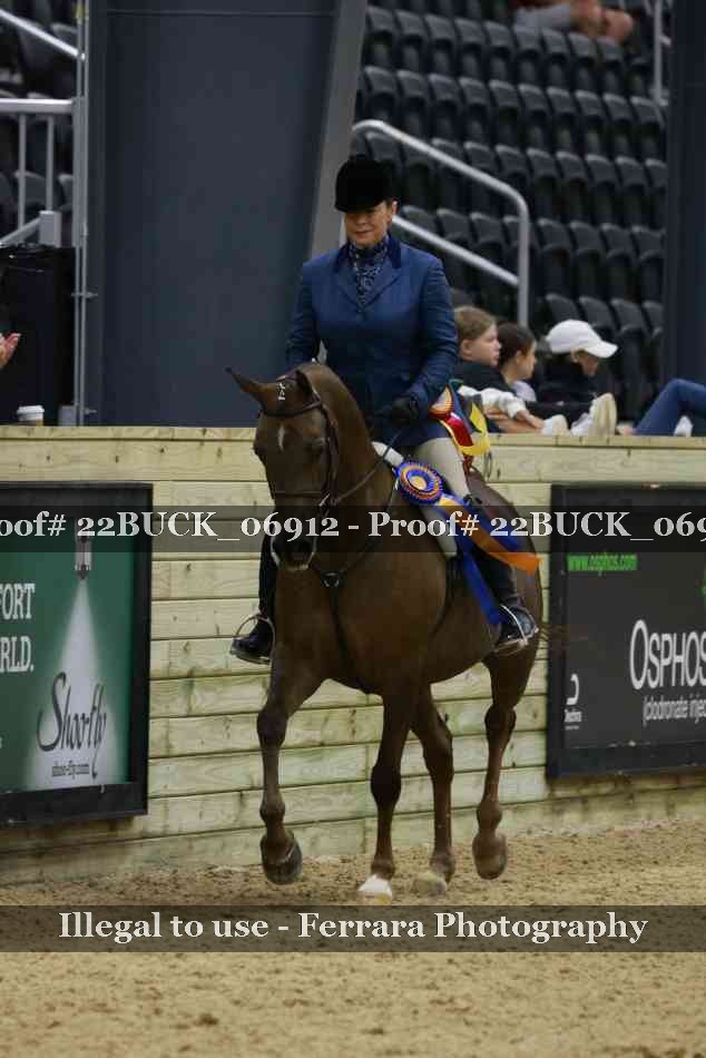 Proof 22BUCK_06912