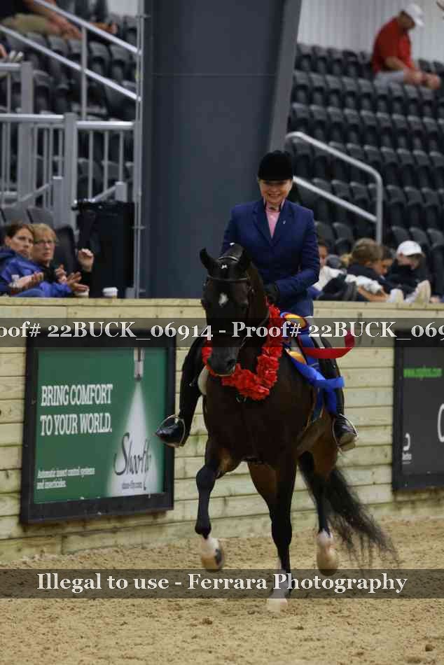 Proof 22BUCK_06914