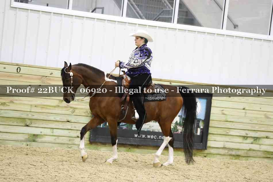 Proof 22BUCK_06920