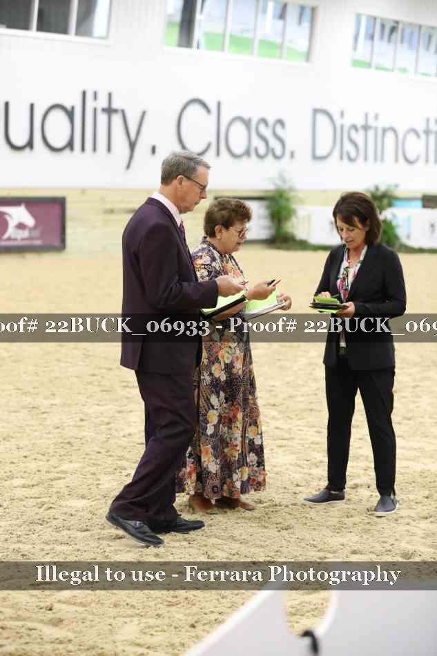 Proof 22BUCK_06933