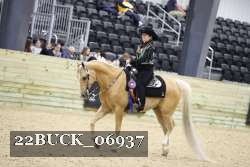 22BUCK_06937 proof
