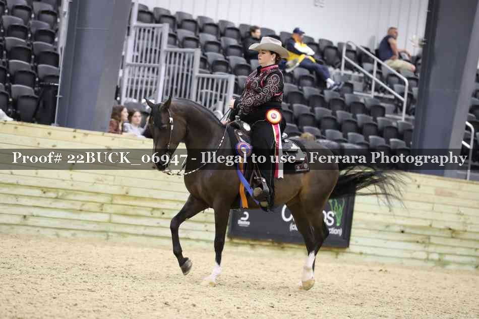 Proof 22BUCK_06947