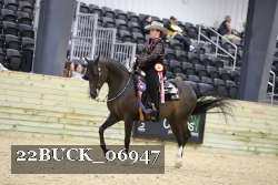 22BUCK_06947 proof