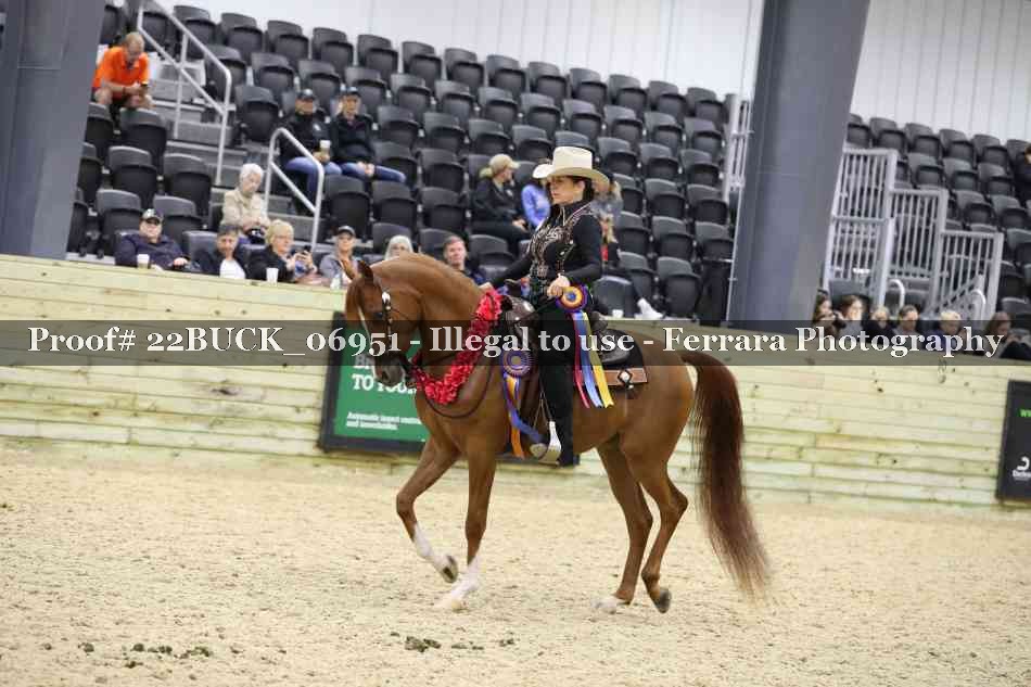 Proof 22BUCK_06951