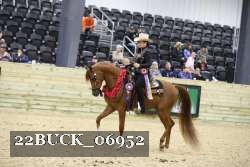 22BUCK_06952 proof