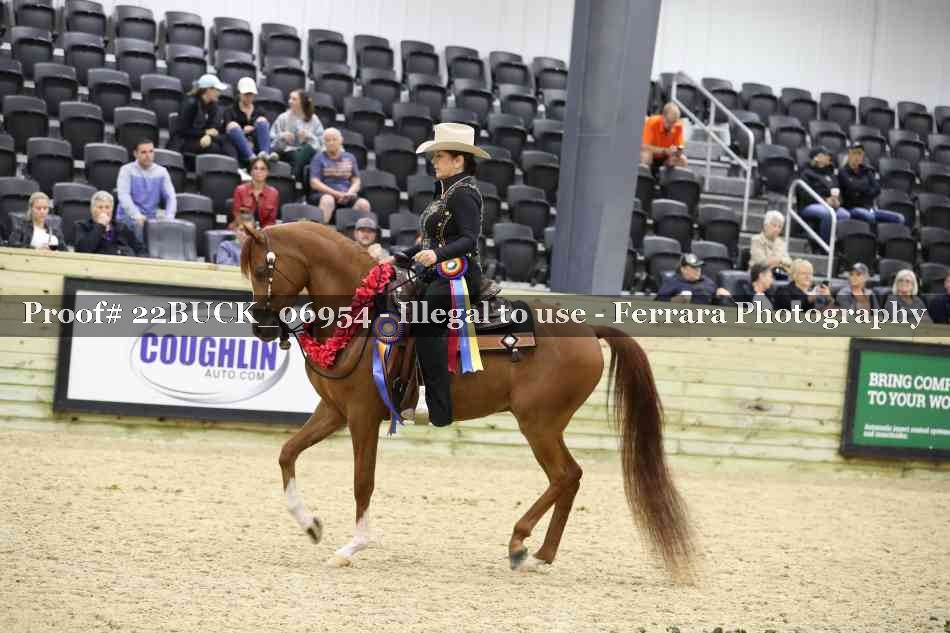 Proof 22BUCK_06954