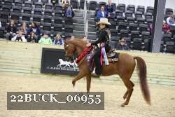 22BUCK_06955 proof