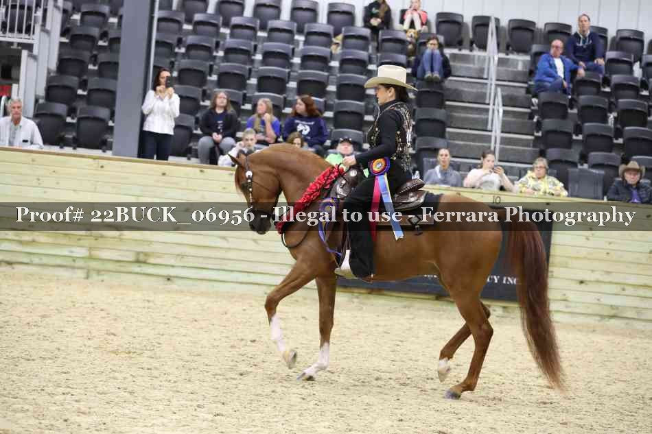 Proof 22BUCK_06956