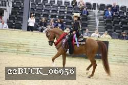 22BUCK_06956 proof
