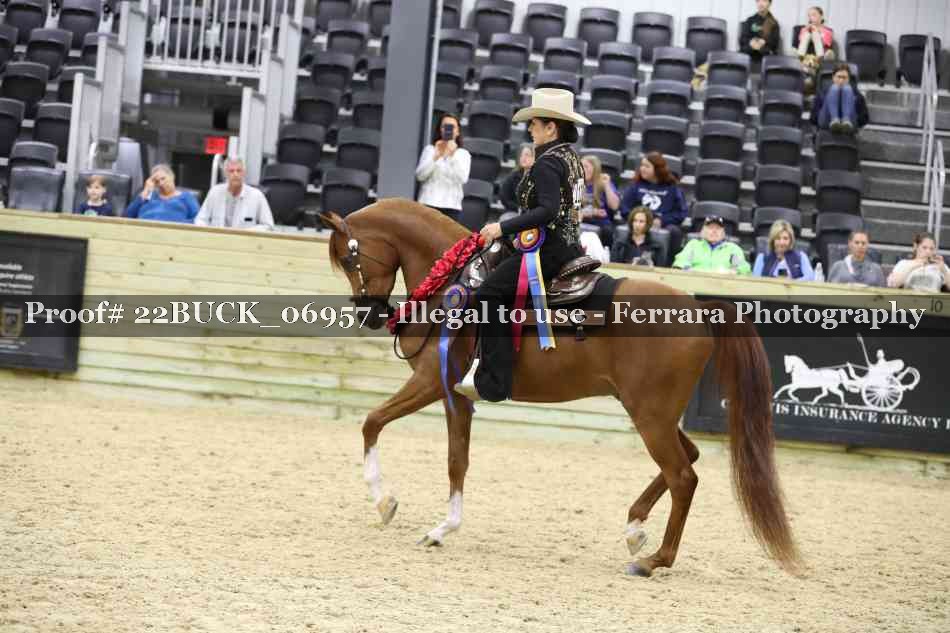 Proof 22BUCK_06957