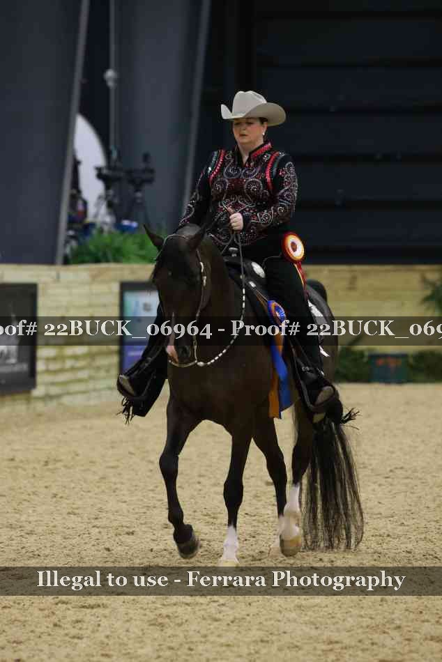 Proof 22BUCK_06964